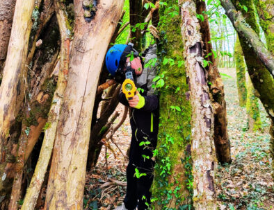 laser game en forêt de Brocéliande