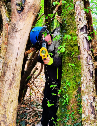 laser game en forêt de Brocéliande